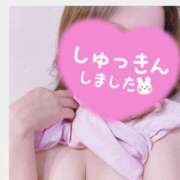 ヒメ日記 2025/07/21 10:35 投稿 十羽-Towa- 姉新地