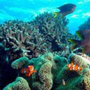 ヒメ日記 2025/03/05 12:30 投稿 あかね 鹿児島人妻 楊貴妃