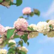 ヒメ日記 2025/03/06 12:30 投稿 あかね 鹿児島人妻 楊貴妃