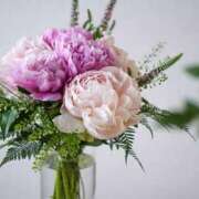 ヒメ日記 2025/04/24 12:31 投稿 あかね 鹿児島人妻 楊貴妃