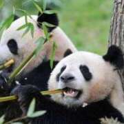 ヒメ日記 2025/05/28 12:45 投稿 あかね 鹿児島人妻 楊貴妃