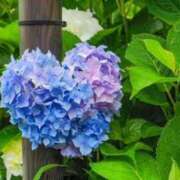 ヒメ日記 2025/06/05 12:45 投稿 あかね 鹿児島人妻 楊貴妃