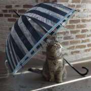 ヒメ日記 2025/06/14 17:31 投稿 あかね 鹿児島人妻 楊貴妃