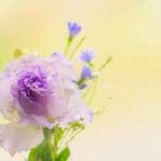 ヒメ日記 2025/06/17 12:45 投稿 あかね 鹿児島人妻 楊貴妃