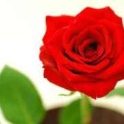 ヒメ日記 2025/06/19 21:06 投稿 あかね 鹿児島人妻 楊貴妃