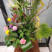 ヒメ日記 2026/01/05 12:30 投稿 あかね 鹿児島人妻 楊貴妃