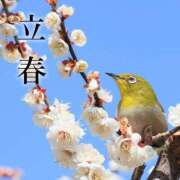 ヒメ日記 2026/02/04 12:30 投稿 あかね 鹿児島人妻 楊貴妃