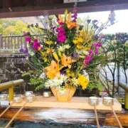 ヒメ日記 2026/02/06 12:45 投稿 あかね 鹿児島人妻 楊貴妃