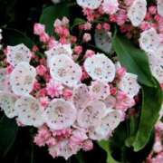 ヒメ日記 2026/02/20 12:31 投稿 あかね 鹿児島人妻 楊貴妃