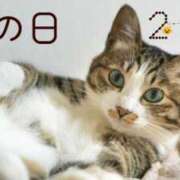 ヒメ日記 2026/02/22 12:30 投稿 あかね 鹿児島人妻 楊貴妃