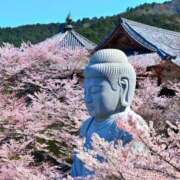 ヒメ日記 2026/04/09 12:31 投稿 あかね 鹿児島人妻 楊貴妃