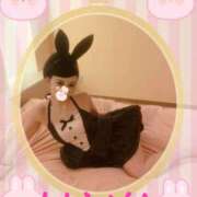 ヒメ日記 2024/12/16 07:16 投稿 はな 豊田人妻隊