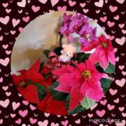 ヒメ日記 2024/12/12 08:13 投稿 るな 豊田人妻隊