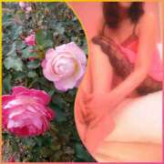 ヒメ日記 2024/12/12 20:53 投稿 るな 豊田人妻隊