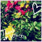 ヒメ日記 2024/12/16 19:49 投稿 るな 豊田人妻隊