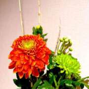 ヒメ日記 2024/12/31 15:12 投稿 しの 豊田人妻隊