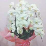 ヒメ日記 2025/09/14 12:50 投稿 Berry/ベリー　centu STYLISH BACH