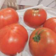 ヒメ日記 2026/03/26 22:32 投稿 Berry/ベリー　centu STYLISH BACH