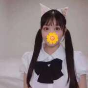 ヒメ日記 2026/09/07 15:54 投稿 Berry/ベリー　centu STYLISH BACH