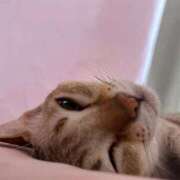 まりあ 今年も暑い夏 the SPA KADOEBI