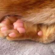 まりあ ありがとう！ the SPA KADOEBI