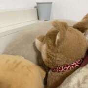 ヒメ日記 2026/02/15 19:48 投稿 えり カクテル(岡山)