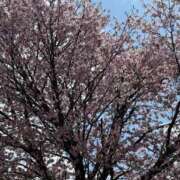 ヒメ日記 2025/05/17 09:45 投稿 みいひ 逆痴漢