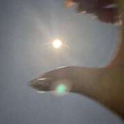 ヒメ日記 2025/11/18 00:11 投稿 ももこ 奴隷コレクション梅田店