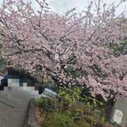 ヒメ日記 2025/03/12 13:28 投稿 みさと 全裸の女神orいたずら痴漢電車