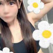 ヒメ日記 2024/12/28 14:48 投稿 らん アラモード