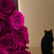 ヒメ日記 2025/10/21 10:36 投稿 ひかり 脱がされたい人妻 宇都宮店