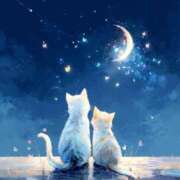 ヒメ日記 2025/11/25 22:49 投稿 ひかり 脱がされたい人妻 宇都宮店