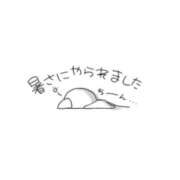 ヒメ日記 2023/08/21 16:08 投稿 まどか『ぽっちゃりコース』 素人学園＠