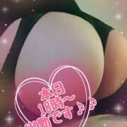 ヒメ日記 2024/12/09 16:15 投稿 まどか『ぽっちゃりコース』 素人学園＠