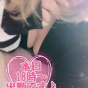 ヒメ日記 2024/12/11 14:41 投稿 まどか『ぽっちゃりコース』 素人学園＠