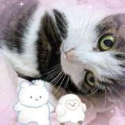 ヒメ日記 2025/04/11 18:55 投稿 あけみ 熟女の風俗最終章 西川口店