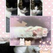 ヒメ日記 2025/04/29 12:42 投稿 あけみ 熟女の風俗最終章 西川口店