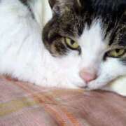 ヒメ日記 2025/05/18 08:23 投稿 あけみ 熟女の風俗最終章 西川口店