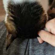 ヒメ日記 2025/10/05 13:06 投稿 あけみ 熟女の風俗最終章 西川口店