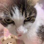 ヒメ日記 2025/10/25 15:02 投稿 あけみ 熟女の風俗最終章 西川口店