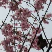 ヒメ日記 2026/03/30 19:50 投稿 あけみ 熟女の風俗最終章 西川口店