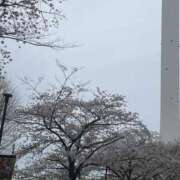 あいり おはようございます、あいりです！ 池袋角海老