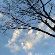 ヒメ日記 2025/03/14 21:25 投稿 さら 宮崎SANSAIN