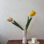 ヒメ日記 2025/07/13 22:05 投稿 さら 宮崎SANSAIN