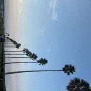 ヒメ日記 2025/07/23 05:55 投稿 さら 宮崎SANSAIN