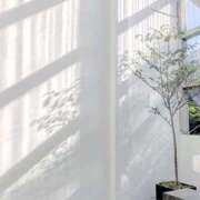 ヒメ日記 2025/07/30 09:15 投稿 さら 宮崎SANSAIN