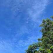 ヒメ日記 2025/08/13 06:05 投稿 さら 宮崎SANSAIN