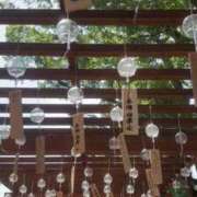 ヒメ日記 2025/08/14 16:45 投稿 さら 宮崎SANSAIN