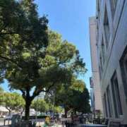 ヒメ日記 2025/10/01 06:15 投稿 さら 宮崎SANSAIN