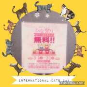 ヒメ日記 2025/03/19 22:22 投稿 月宮あんな YESグループ水戸　華女